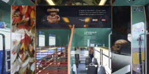 Train arts vinyles