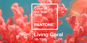 Couleur Pantone de l'année 2019